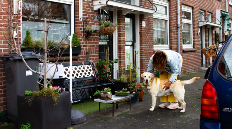 De PVV Delft stelt vragen over prioriteiten bij handhaving