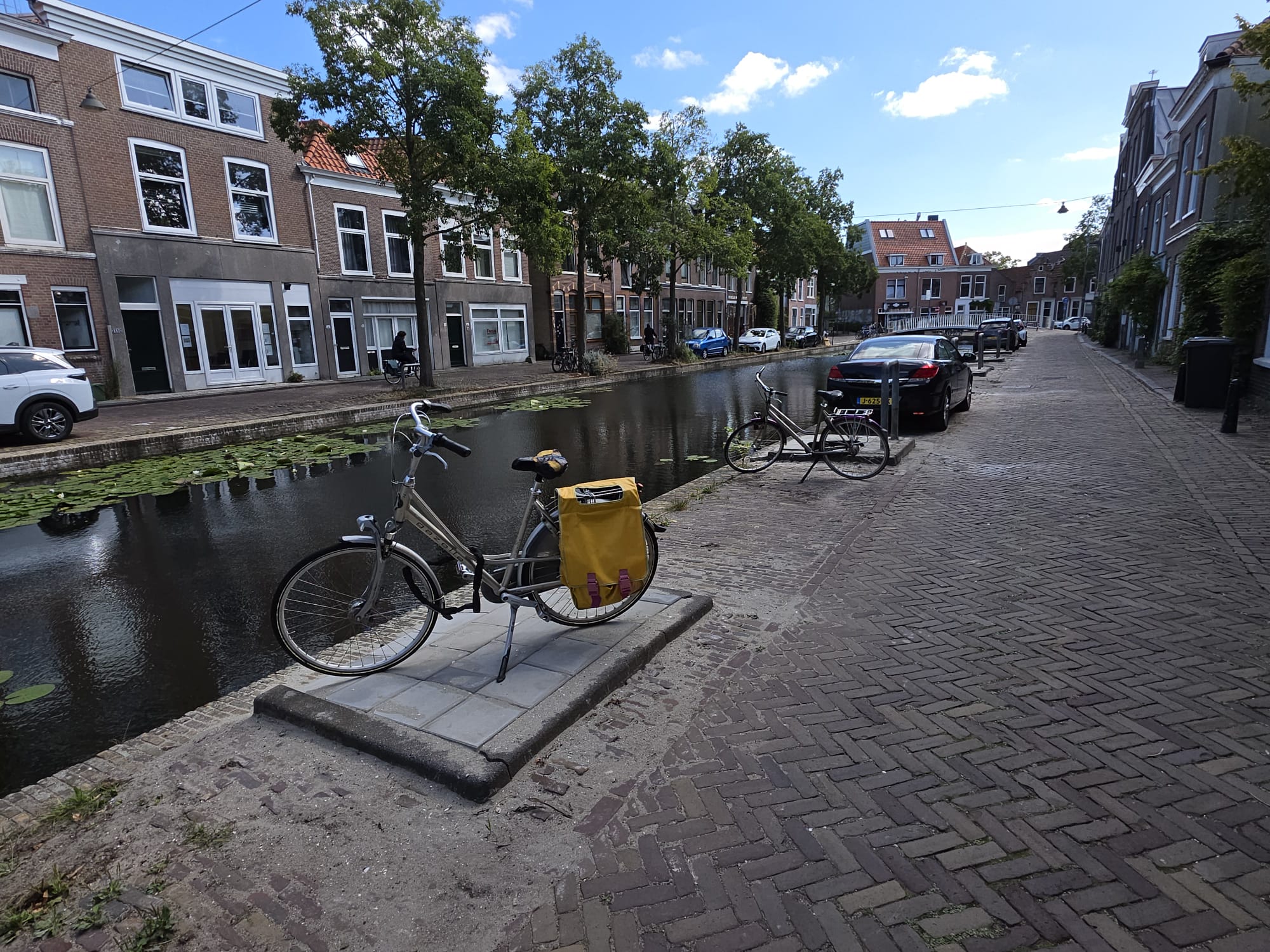 (Waar) komen de bomen in de Delftse binnenstad terug?